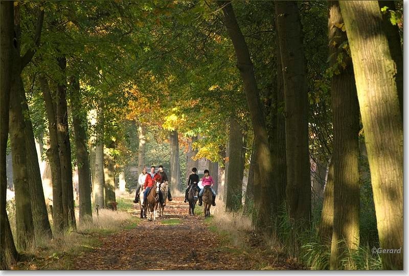 Ruiteren in Beverbeek.JPG - Ruiteren in Beverbeek